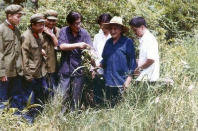 福州壶山林氏中医内科