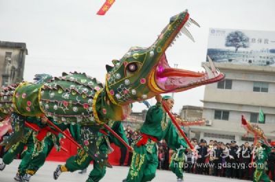 惠来九鳄舞