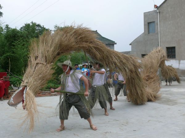 舞草龙