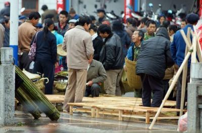 灌阳二月八农具节